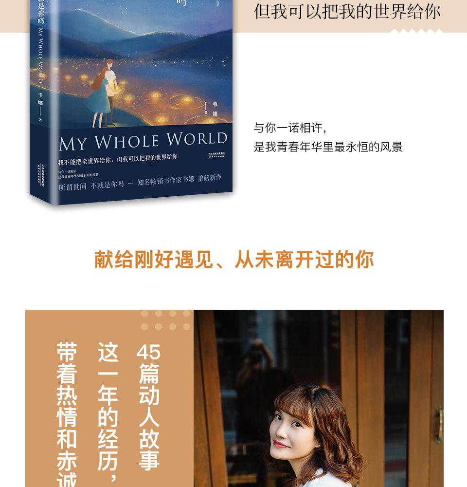 豪华轿车记忆卡