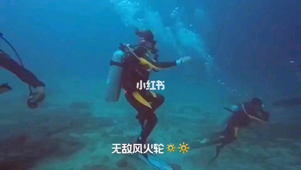 台湾利用中华文物，以换取“外交”空间，传言成真将是文物浩劫